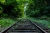 aaaa